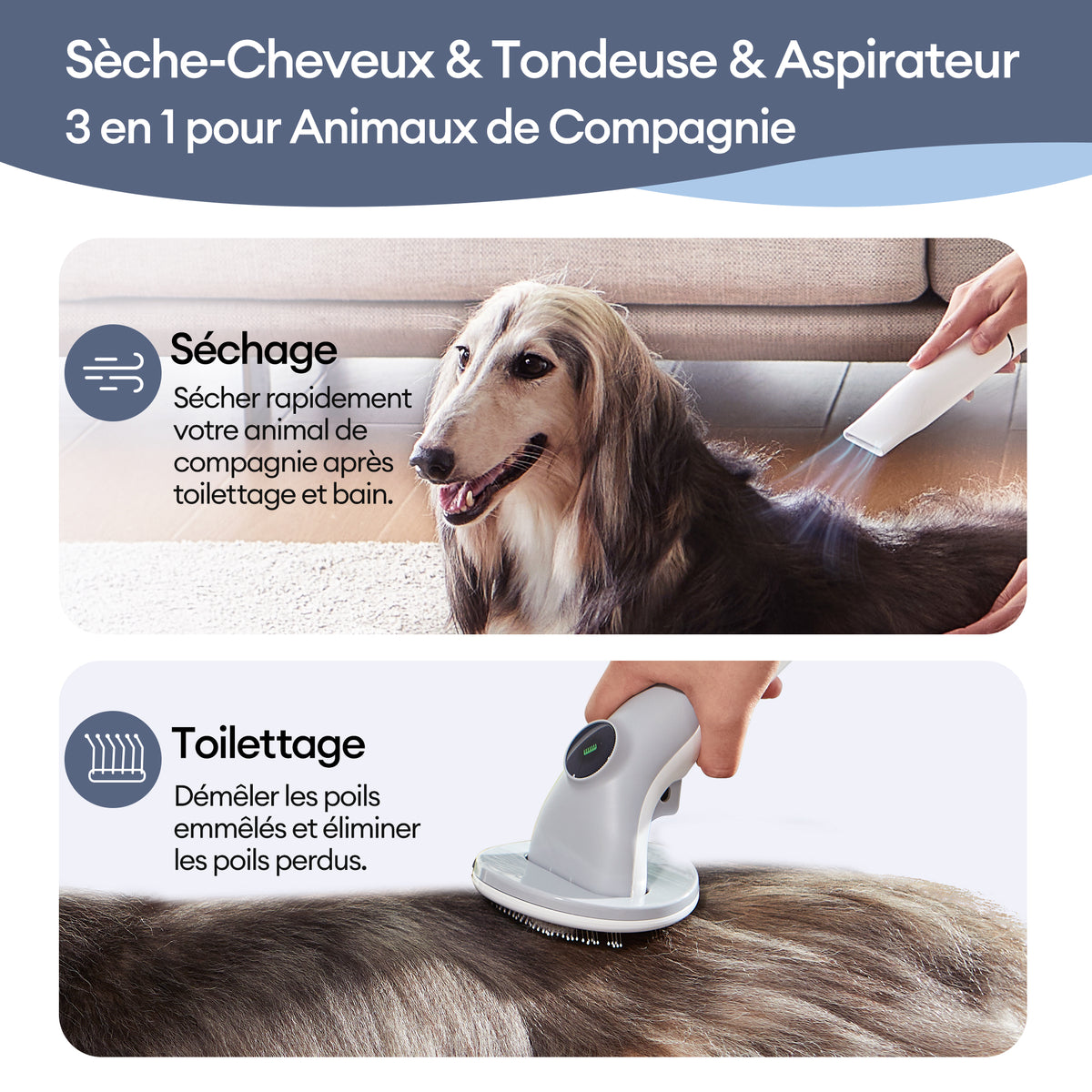 Tondeuse pour Chien/Chat,Tondeuse à cheveux pour animaux, Pro aspirateur  poil de chien et accessoire